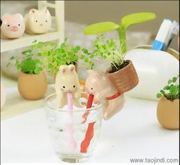 小盆栽迷你植物批發(fā) 尋找可靠的廠家貨源與供應信息