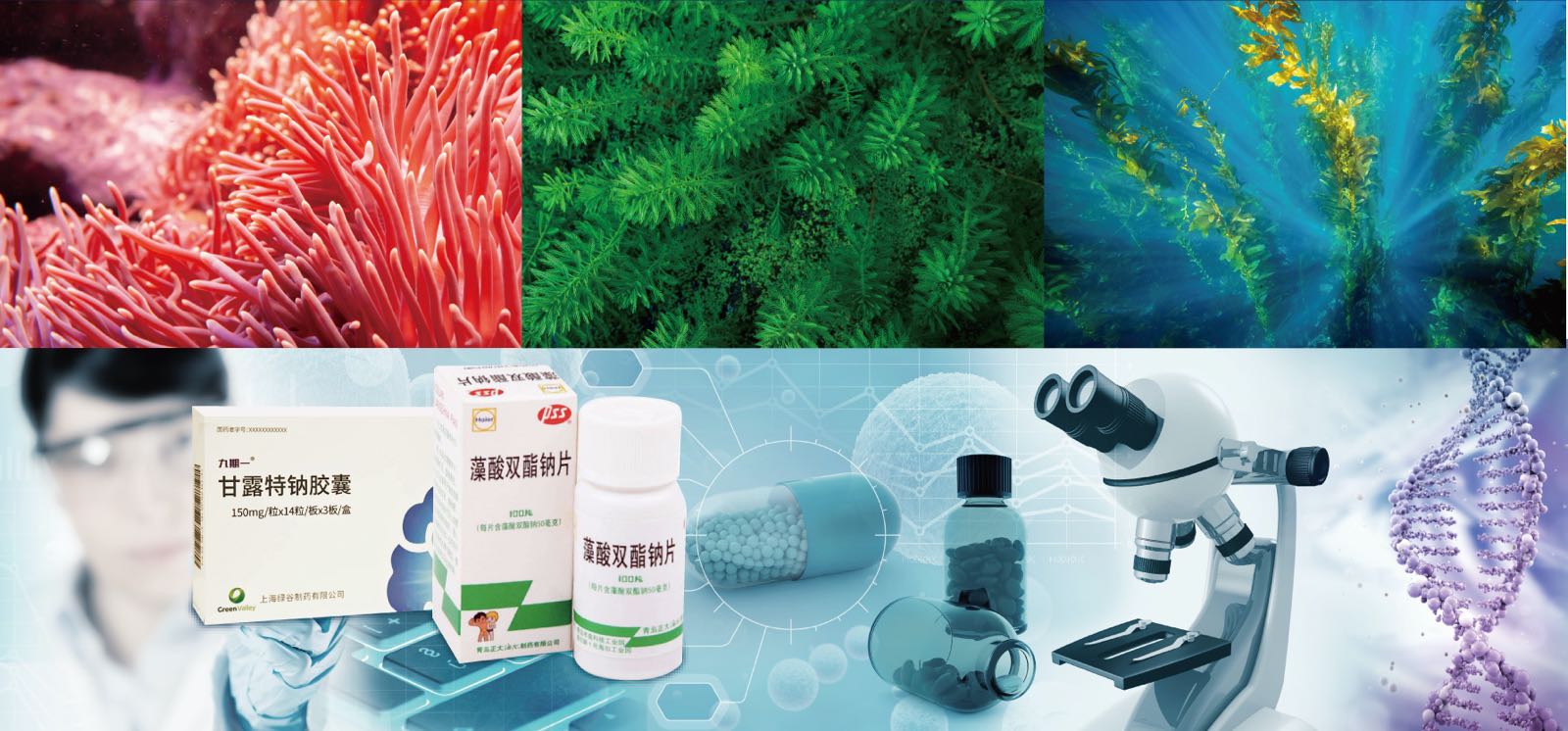 華大海洋 以企業擔當引領海洋生物醫藥研發與生物制品創新