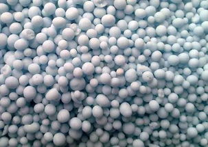 當肥料也能入口 甲殼素農業肥料的創新革命與市場前景