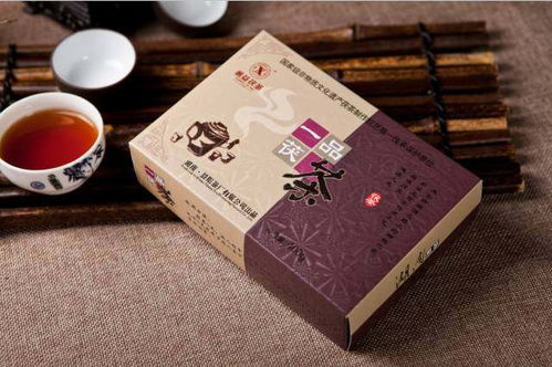 劉杏益 以甲殼素農業肥料研發，踐行制茶大師的行業使命